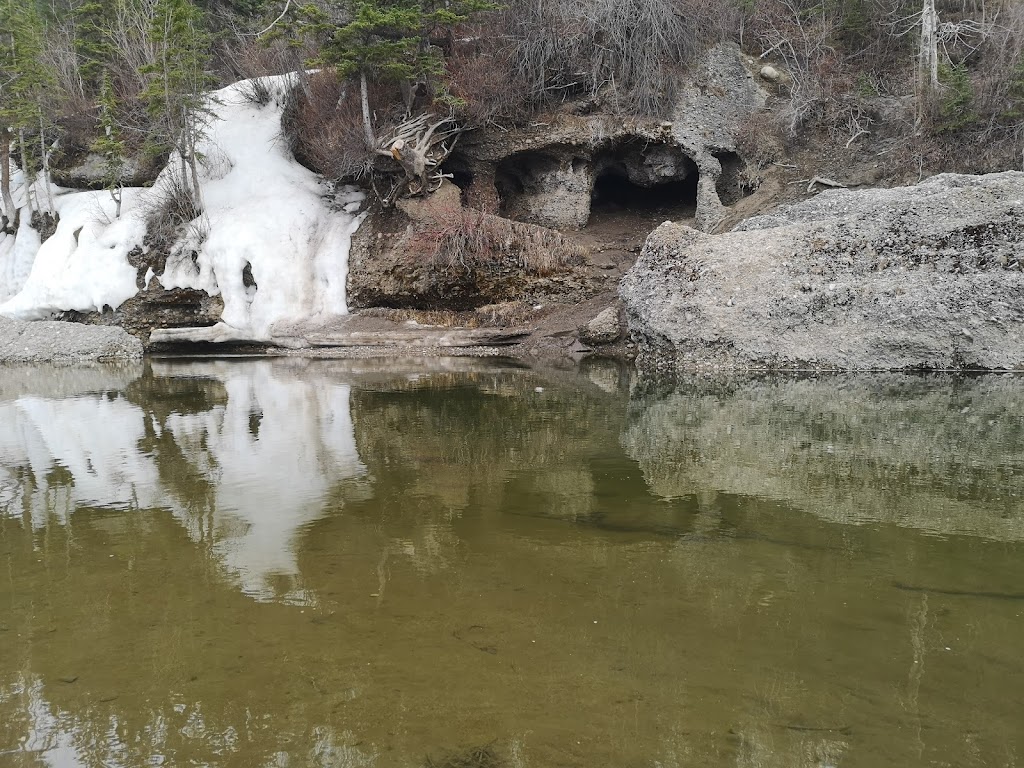 Friends Of Fish Creek Provincial Park Society | 15975 Bow Bottom Trail SE, Calgary, AB T2J 6T5, Canada | Phone: (403) 238-3841
