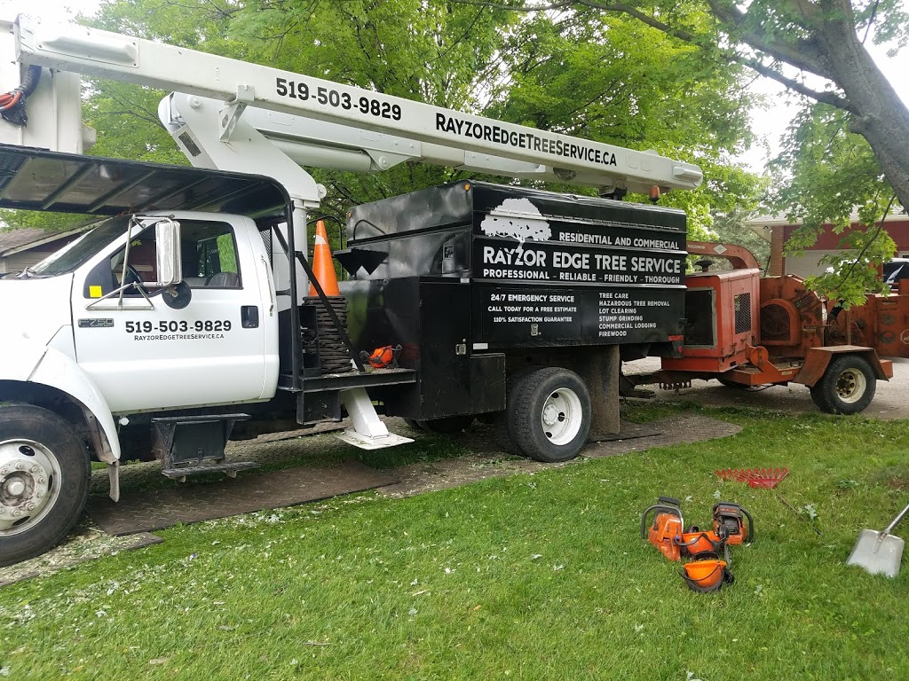 Rayzor Edge Tree Service | 1693 Durst Rd, St. Jacobs, ON N0B 2N0, Canada | Phone: (519) 503-9829
