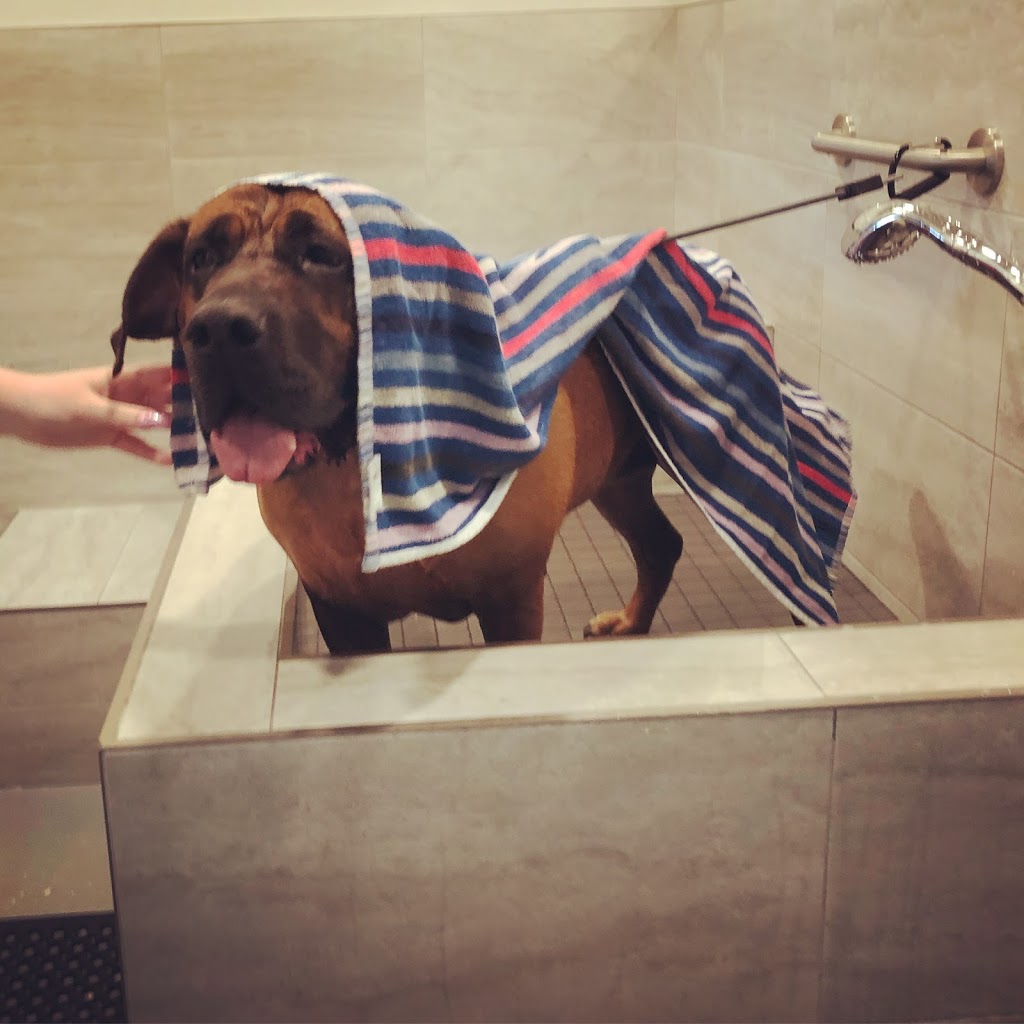 Lucky Paws Pet Supply and Dog Wash | 4485 Trans-Canada Hwy, Duncan, BC V9L 6L8, Canada | Phone: (250) 597-3647