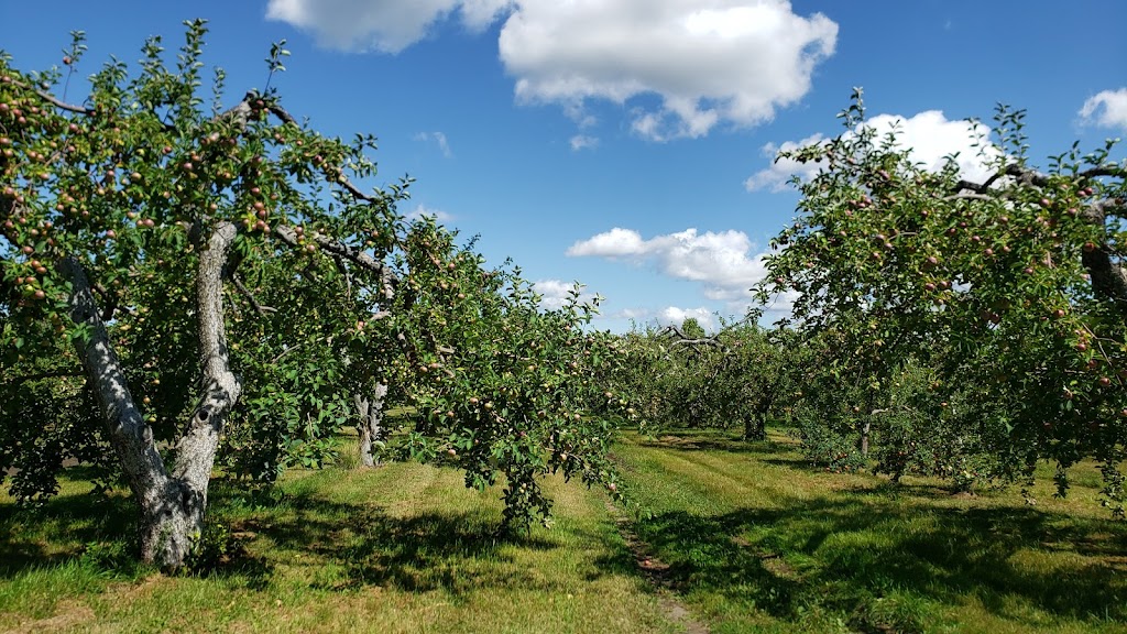 Verger Bio à La Croisée Des Pommes Inc