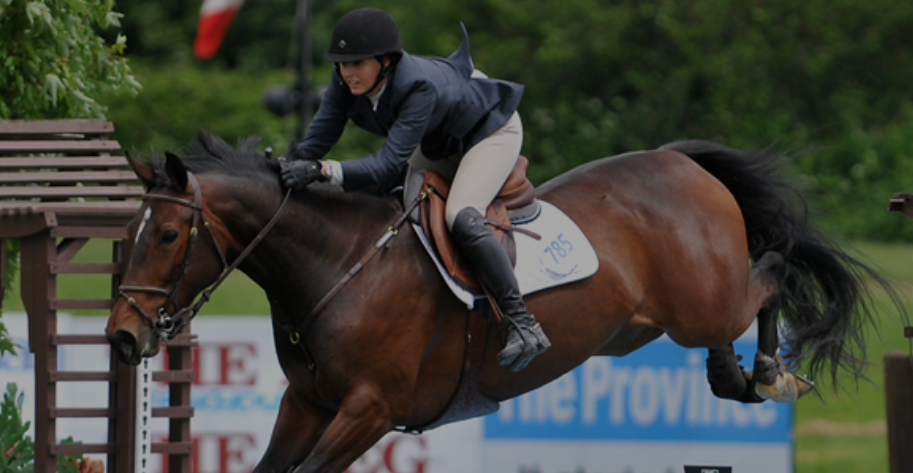 Tribeca Equestrian | 18949 McQuarrie Rd, Pitt Meadows, BC V3Y 1Z1, Canada | Phone: (604) 788-7867