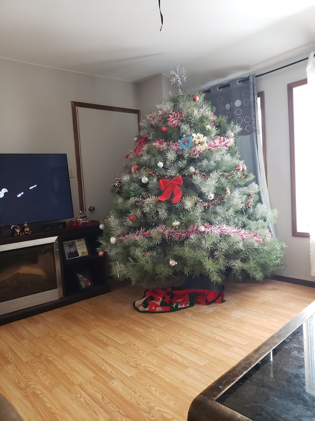 Hill Haven Christmas Trees | Jackson Lake Provincial Rd. 352 South East on Rural Rd. 59 North Gate number 58142 NE28, 10 12W, Sidney, MB R0H 1L0, Canada | Phone: (204) 466-2654