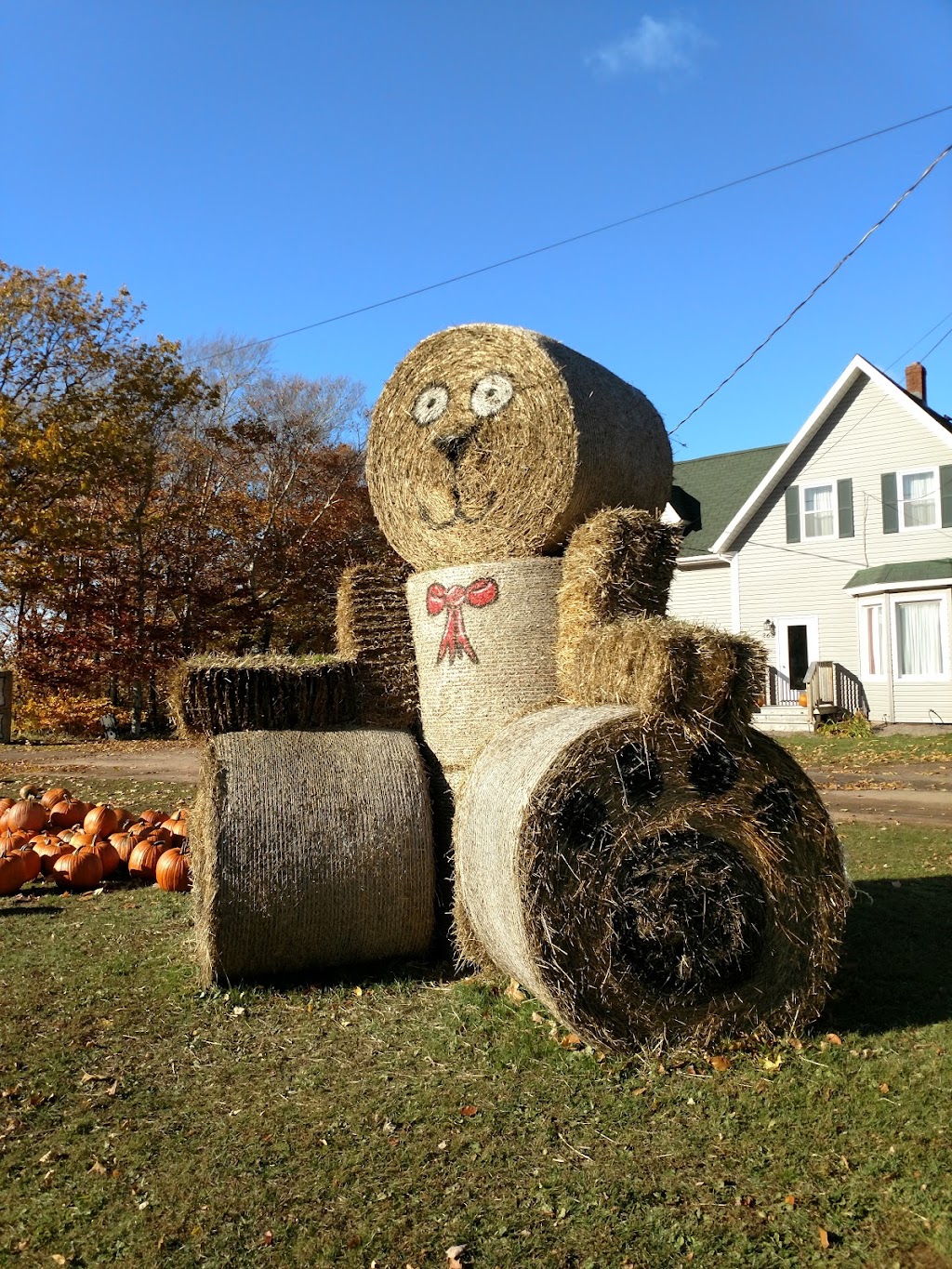 Comptons Vegetable Stand | 268 All Weather Hwy, Summerside, PE C1N 4V4, Canada | Phone: (902) 315-2751