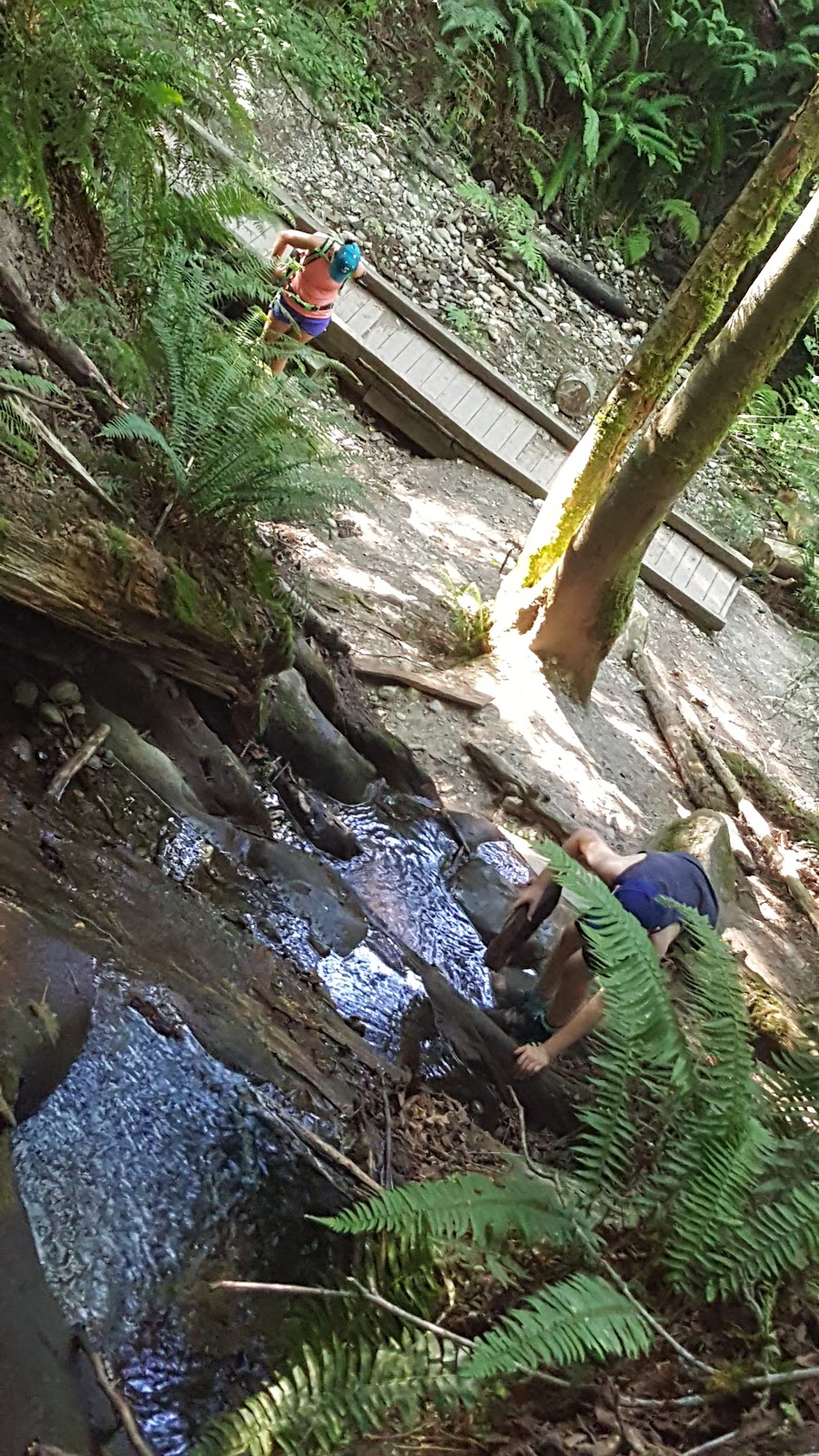 North Chuckanut Mountain Trailhead | 1467 Chuckanut Dr, Bellingham, WA 98229, USA | Phone: (360) 778-5850