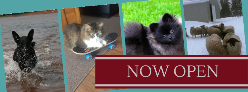 New Perth Animal Hospital | 3188 Georgetown Rd Rte. #3, New Perth, PE C0A 1G0, Canada | Phone: (902) 838-1800