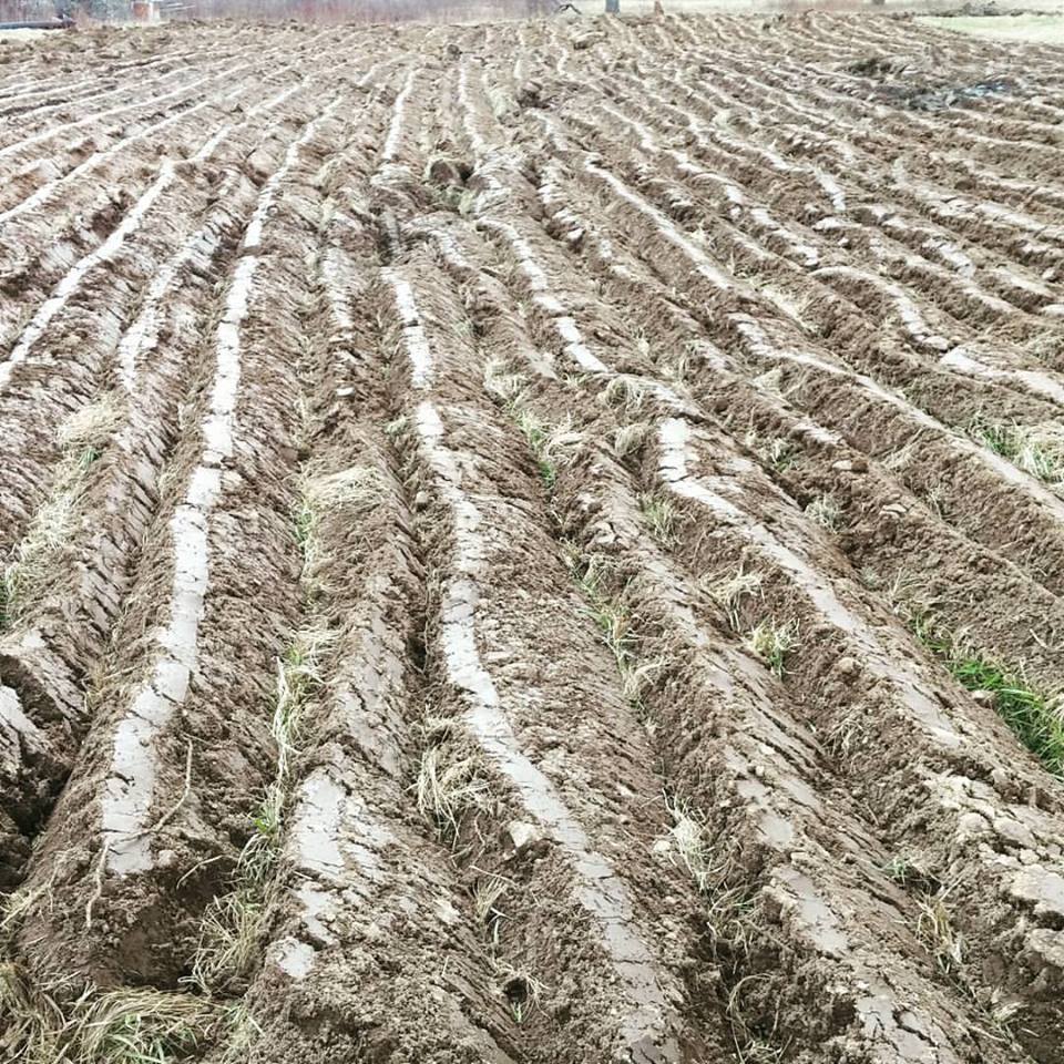 Mountain River Farm | 712 Torbrook Rd, Wilmot, NS B0P 1W0, Canada | Phone: (902) 825-9257
