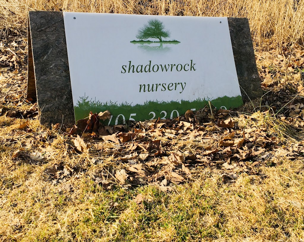 shadowrock nursery | 5781 2ed. line, Schomberg, ON L0G 1T0, Canada | Phone: (705) 330-5649