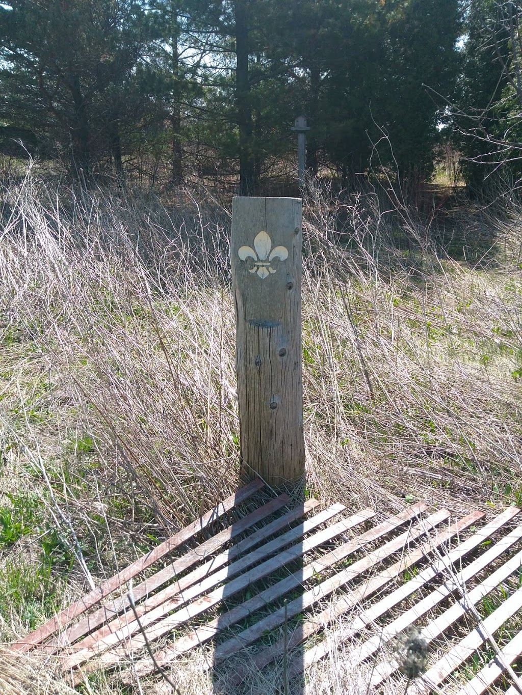 Centennial Grove | Waterfront Trail, Whitby, ON L1N 9W1, Canada