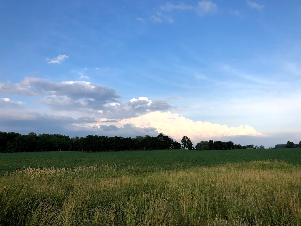 Panorama Landscaping | 21902 Wonderland Rd N, Arva, ON N0M 1C0, Canada | Phone: (519) 868-5195