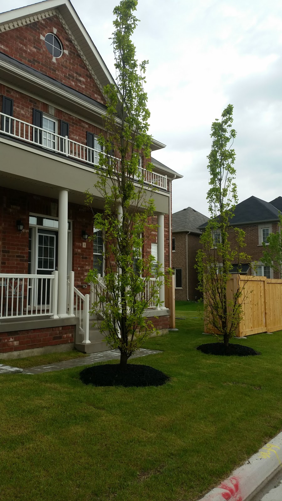 Cerelli Tree Farm North | 14005 Guelph Line, Campbellville, ON L0P 1B0, Canada | Phone: (905) 299-9677