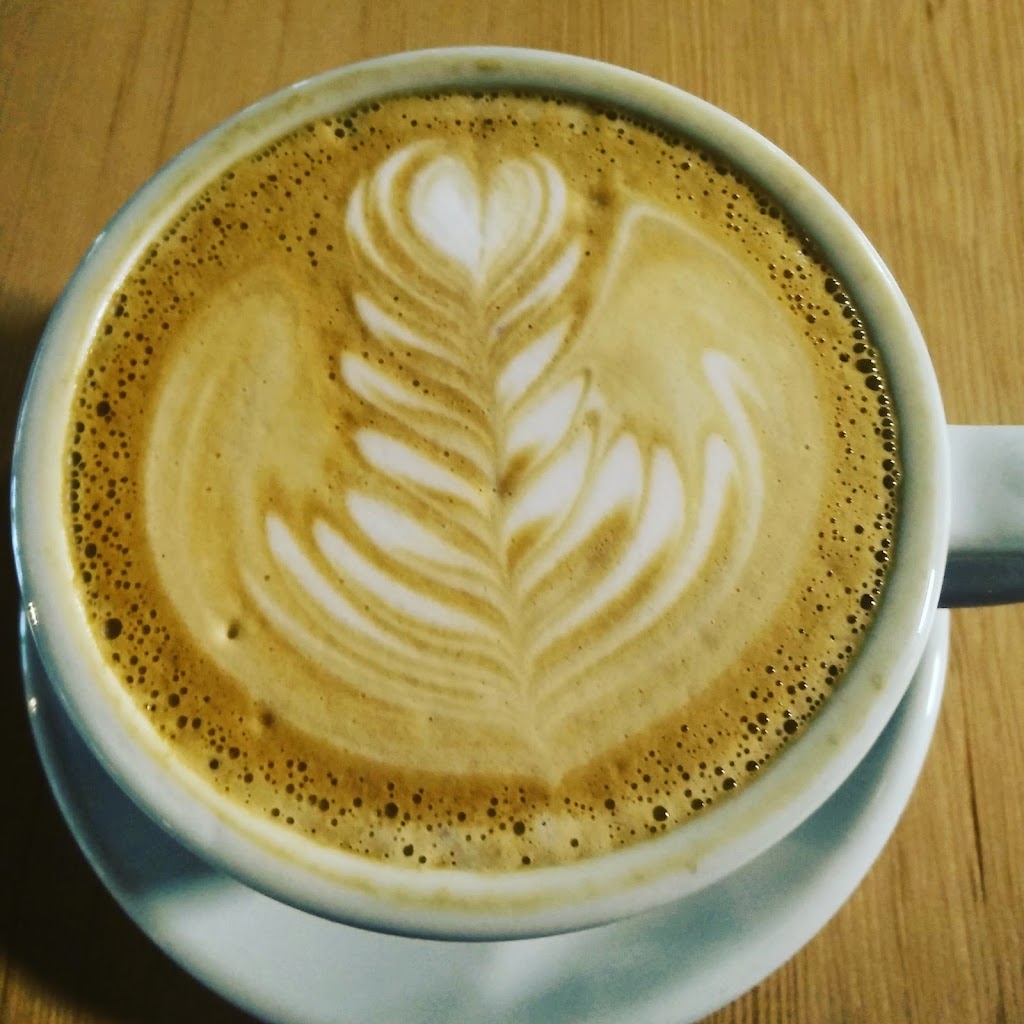 Transcend Coffee and Roastery | 9570 76 Ave NW Suite 100, Edmonton, AB T6C 0K2, Canada | Phone: (780) 430-9198