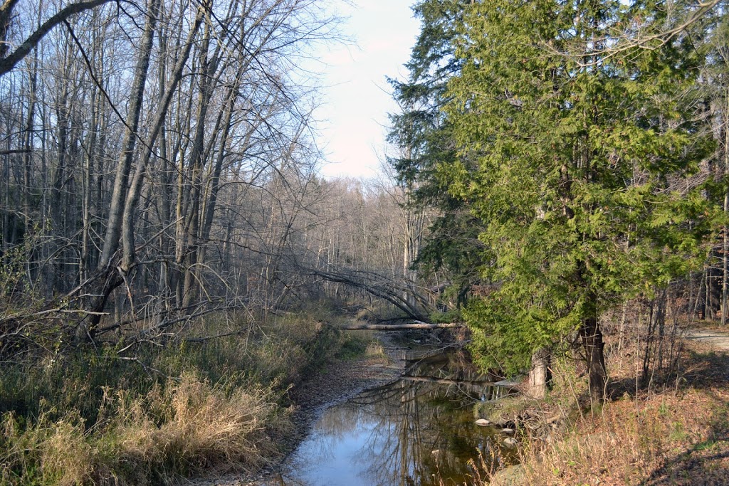 Silver Trails Scout Reservation | 7140 Jeddo Rd, Jeddo, MI 48032, USA | Phone: (810) 327-6685