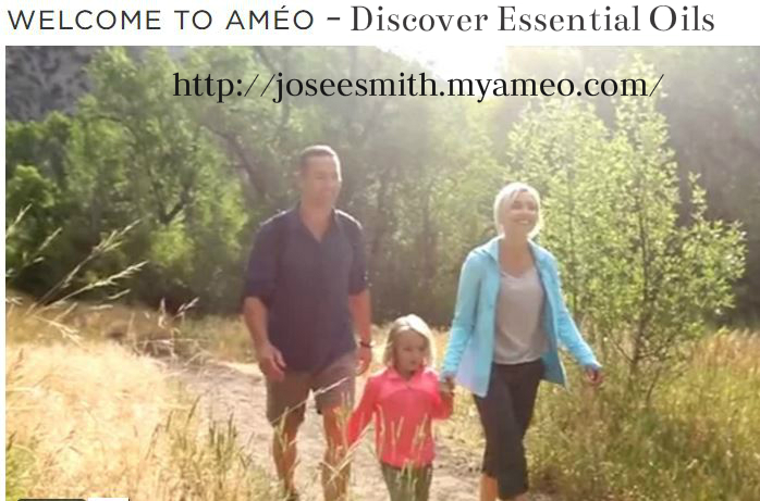 Josee Smith No Excuse Health Coaching | 1046 Lakeshore Rd, Sarnia, ON N7V 2V6, Canada | Phone: (519) 402-8093