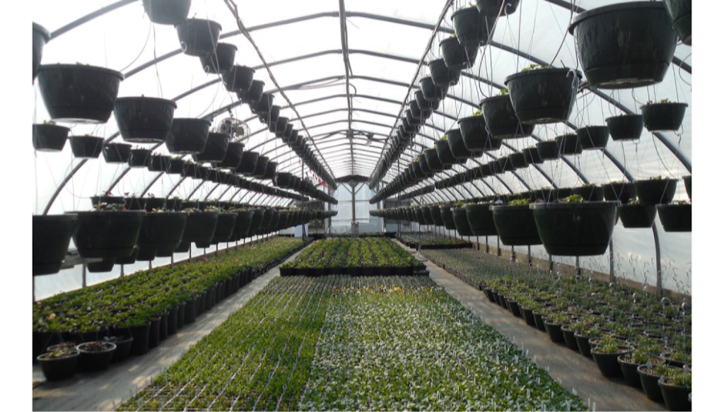 Growforge | Box 177, Oak Bluff, MB R0G 1N0, Canada | Phone: (905) 634-5926