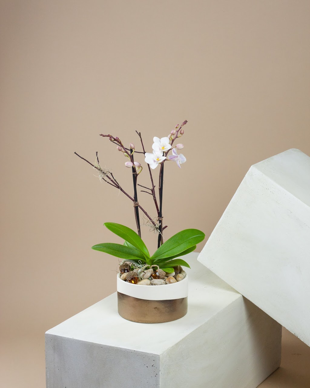 Metaflorist | 6 Colby Ct #13, Waterloo, ON N2V 1Y9, Canada | Phone: (519) 783-1434