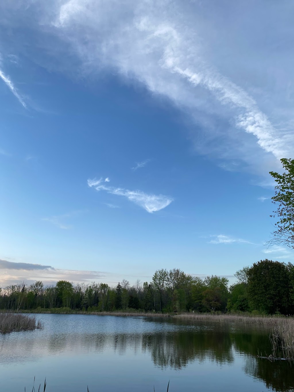 Lovers Creek | 2870 7th Line, Innisfil, ON L9S 4H6, Canada | Phone: (705) 436-3710