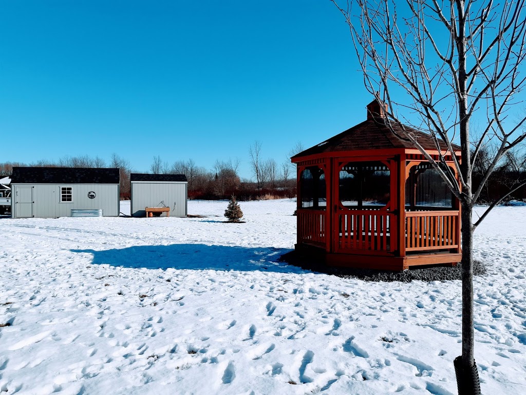 Better Way Sheds-Foxboro | 2105 Wallbridge Loyalist Rd, Foxboro, ON K0K 2B0, Canada | Phone: (613) 848-5521
