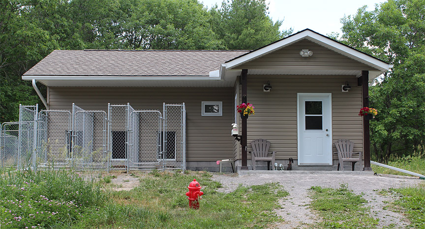 Jurassic Bark Kennels | 18 Fells Point Rd, Fenelon Falls, ON K0M 1N0, Canada | Phone: (705) 340-2925