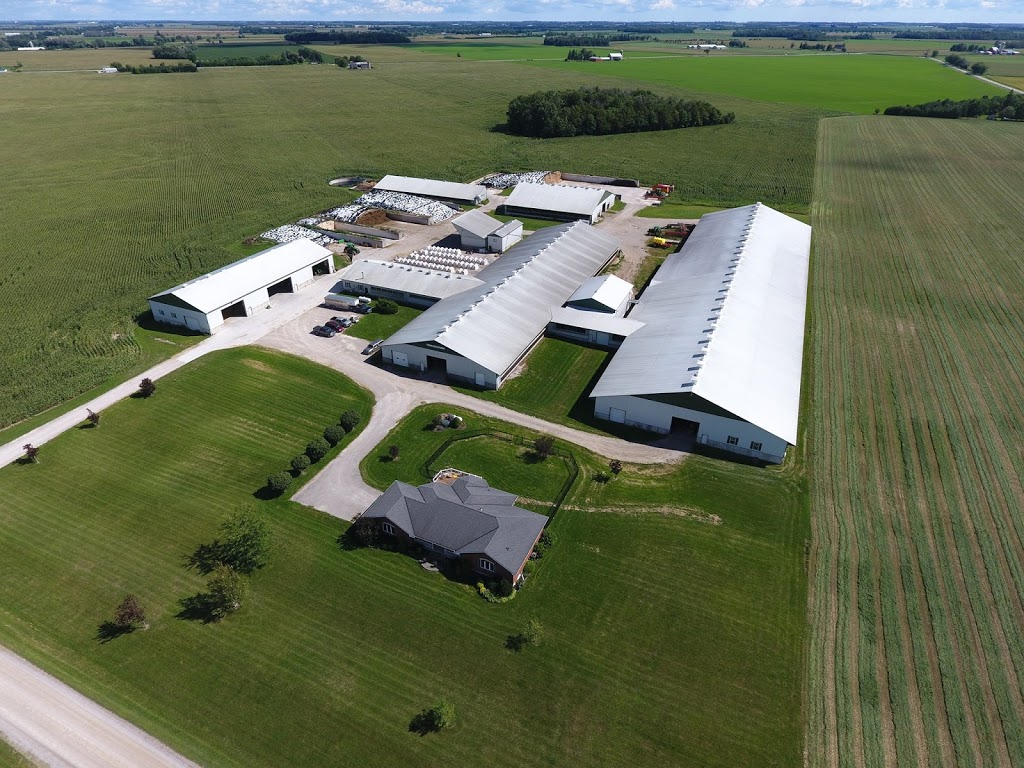 Stonecreek Farms | 42201 Woodham Rd, Woodham, ON N0K 2A0, Canada | Phone: (519) 520-5132