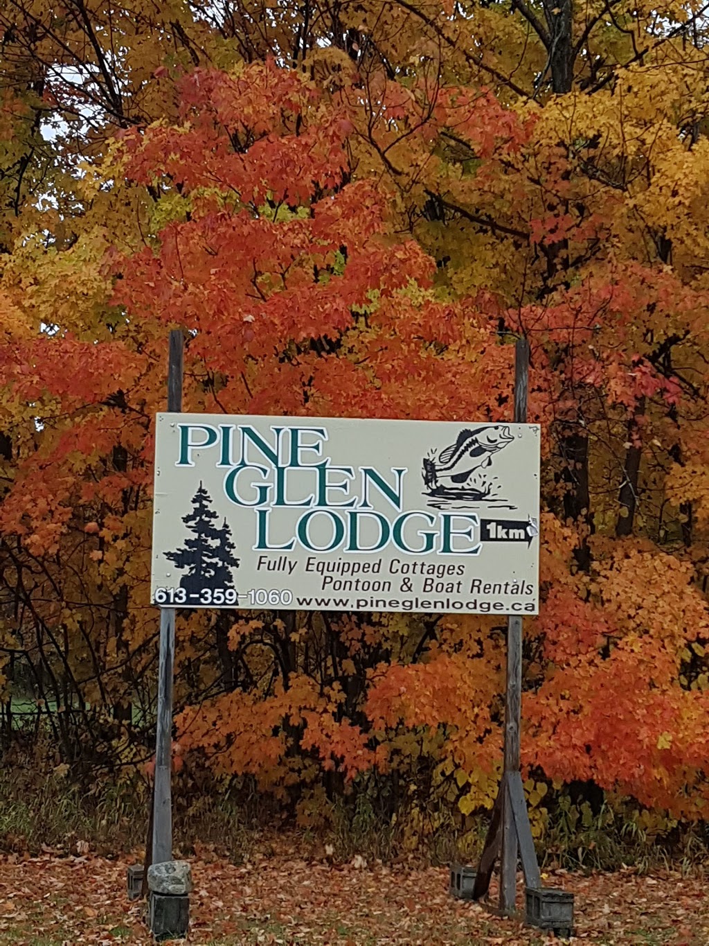 Pine Glen Lodge | lodging | 236 Pine Glen Rd, Elgin, ON K0G 1E0, Canada | 6133591060 OR +1 613-359-1060