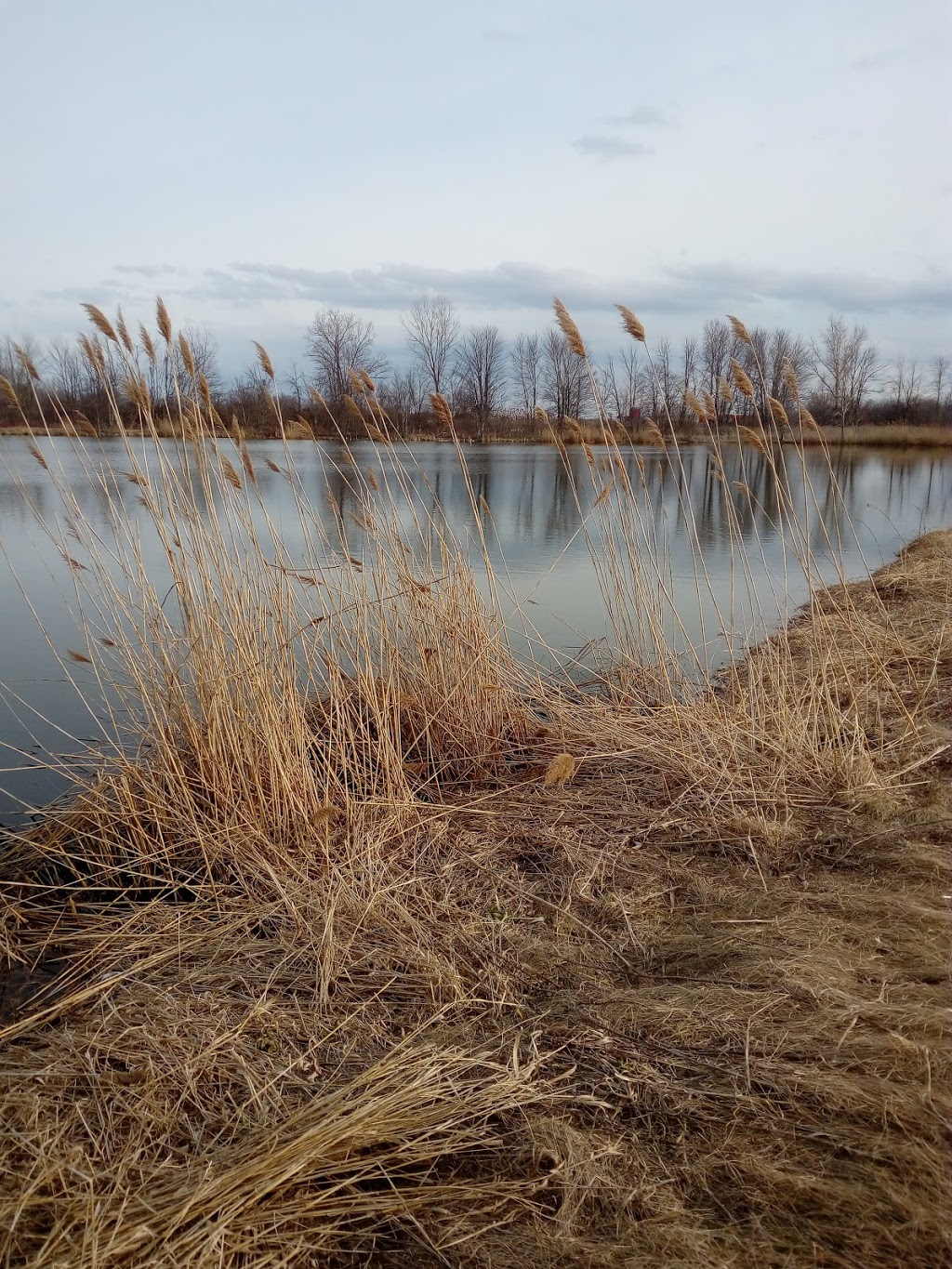 Roelands Plant Farms Inc | 5894 Douglas Line, Lambton Shores, ON N0N 1J5, Canada | Phone: (519) 786-6001