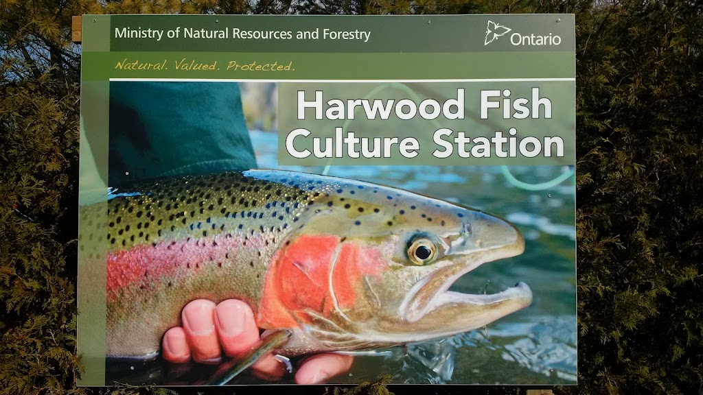 Harwood Fish Culture Station | 6388 Northumberland County Rd 18, Baltimore, ON K0K 1C0, Canada | Phone: (905) 342-2860