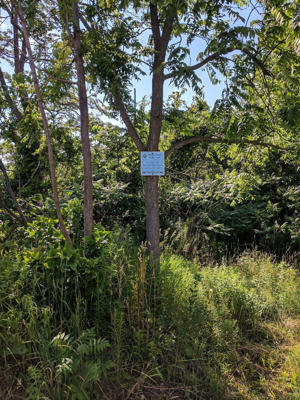 Lower Punchbowl Falls | 185 Ridge Rd, Stoney Creek, ON L8J 2W1, Canada