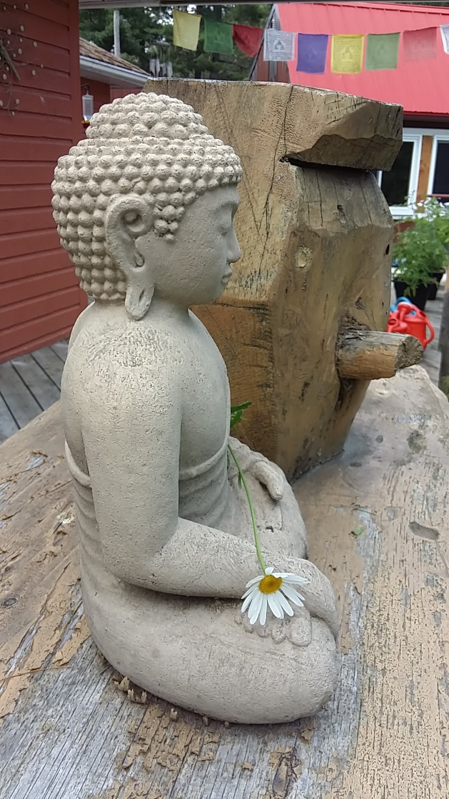 Inceptional Soul Services | 1054 E Rd, Minden, ON K0M 2K0, Canada | Phone: (705) 306-9742