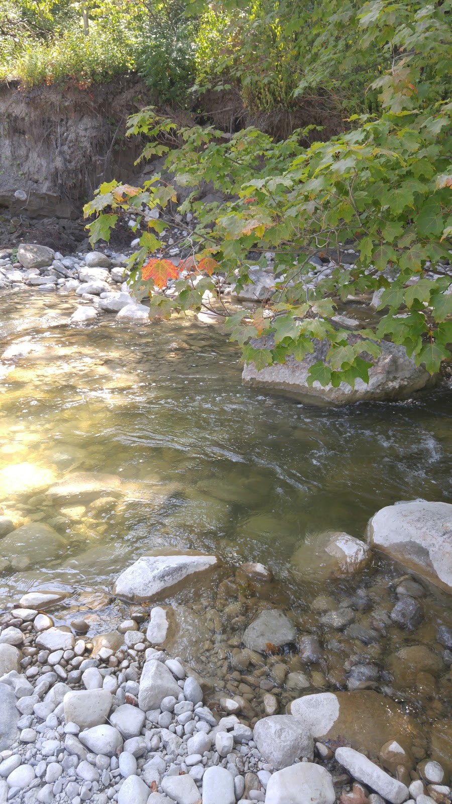 Rouge National Urban Park, Twyn Rivers | 55 Twyn Rivers Dr, Scarborough, ON M1B, Canada | Phone: (416) 264-2020