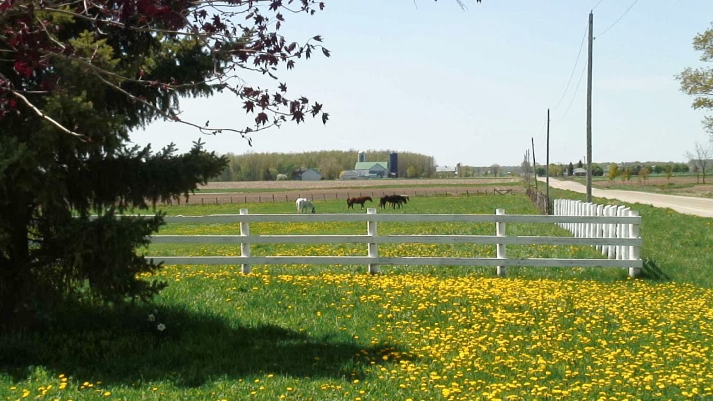 Sanmar Friesians | 1044 Scotch Line Rd, Elmira, ON N3B 2Z2, Canada | Phone: (519) 635-6723