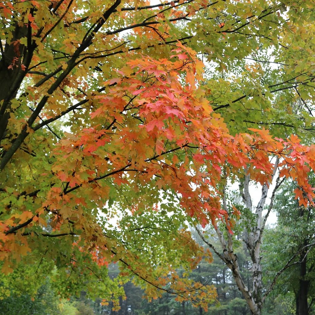 Heart Lake Conservation Park | 10818 Heart Lake Rd, Brampton, ON L6Z 0B3, Canada | Phone: (416) 661-6600