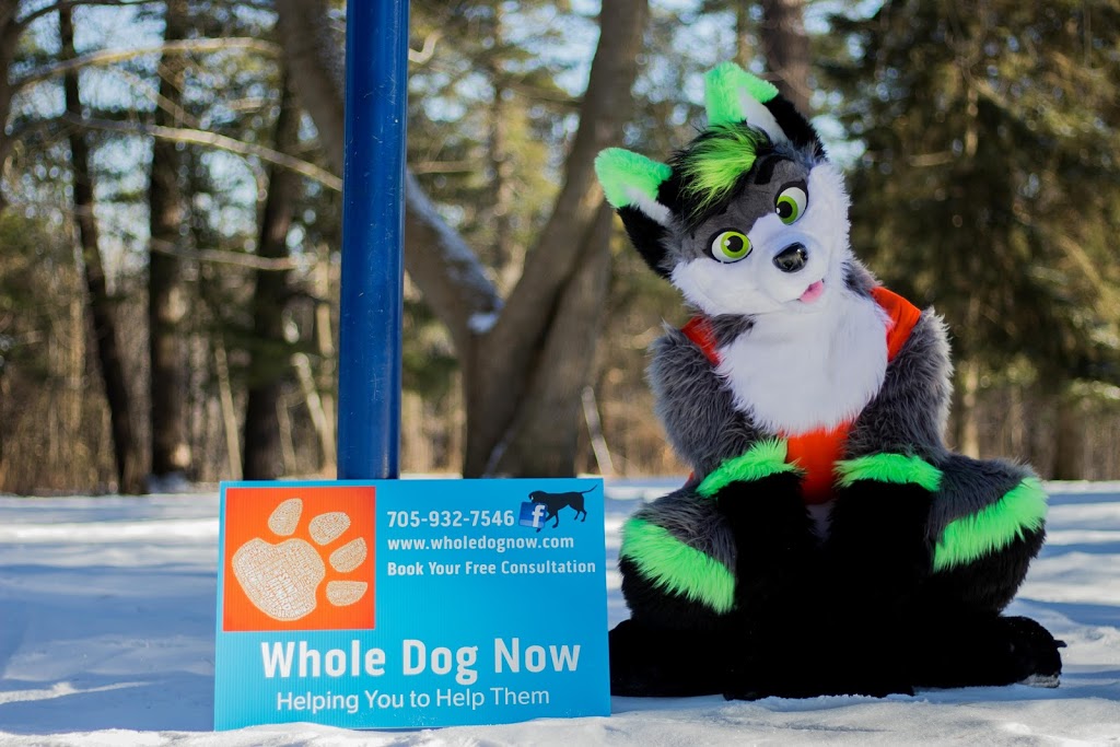 Whole Dog Now | 1229 Deyell 3 Line, Millbrook, ON L0A 1G0, Canada | Phone: (705) 932-7546