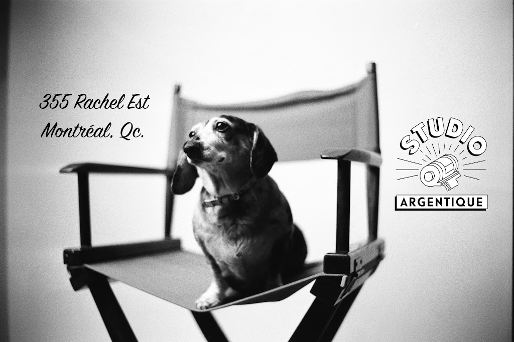 Le Studio Argentique | 355 Rue Rachel E, Montréal, QC H2W 1E8, Canada | Phone: (514) 597-0202