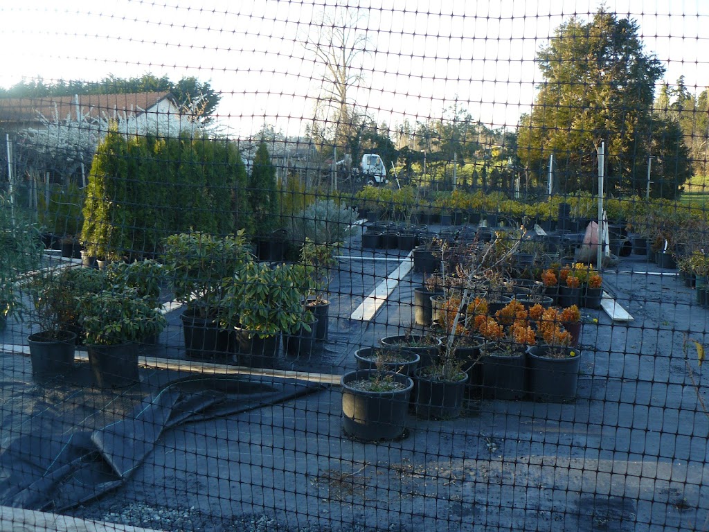 Lazaro Landscaping | 4031 Blenkinsop Rd, Victoria, BC V8X 2C1, Canada | Phone: (250) 858-0377