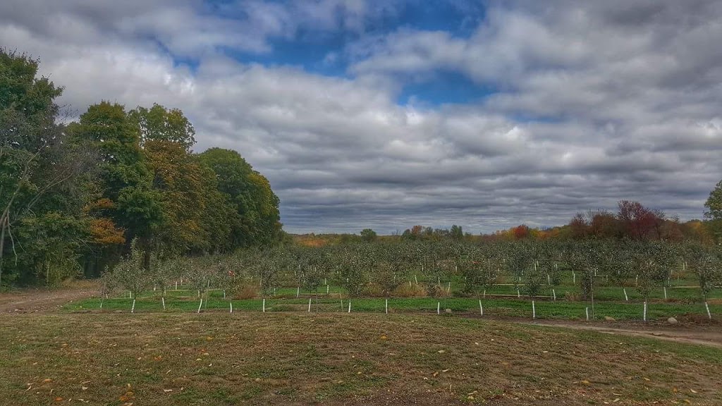 Moon Valley Farms | 3357 ON-15, Elgin, ON K0G 1E0, Canada | Phone: (613) 328-3238