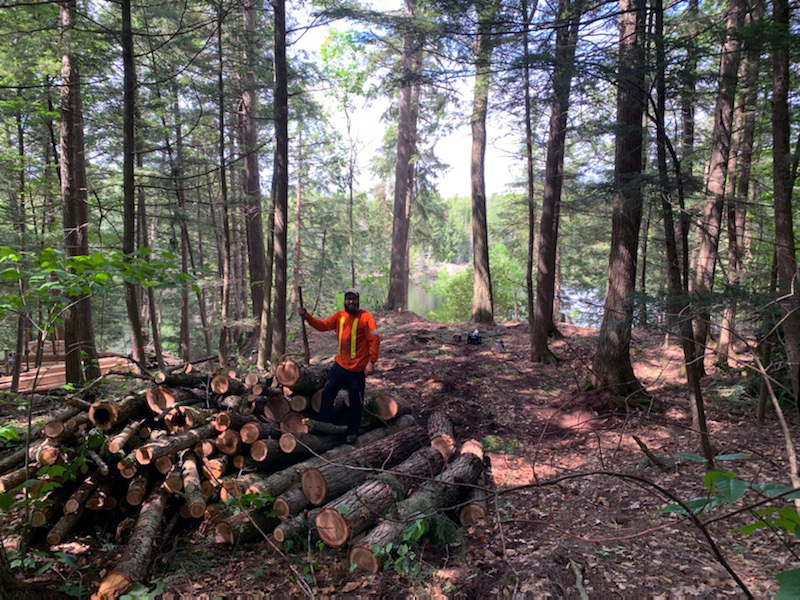 Plunketts Tree Removal Bancroft | 212 McDonald Mine Rd, Bancroft, ON K0L 1C0, Canada | Phone: (613) 334-9383