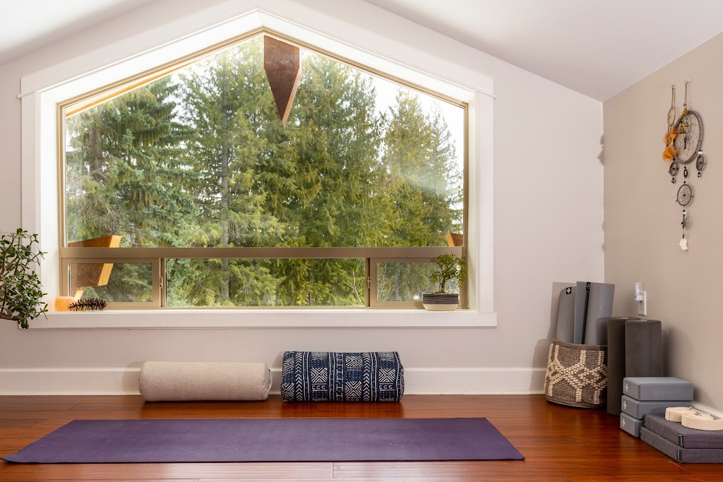 Painted Turtle Lodge | 1500 Shiell Rd, Revelstoke, BC V0E 2S1, Canada | Phone: (604) 905-9617