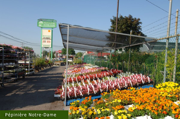 Pépinière Notre-Dame, Botanix | 325 Rue Notre-Dame, Repentigny, QC J6A 2S1, Canada | Phone: (450) 585-3983