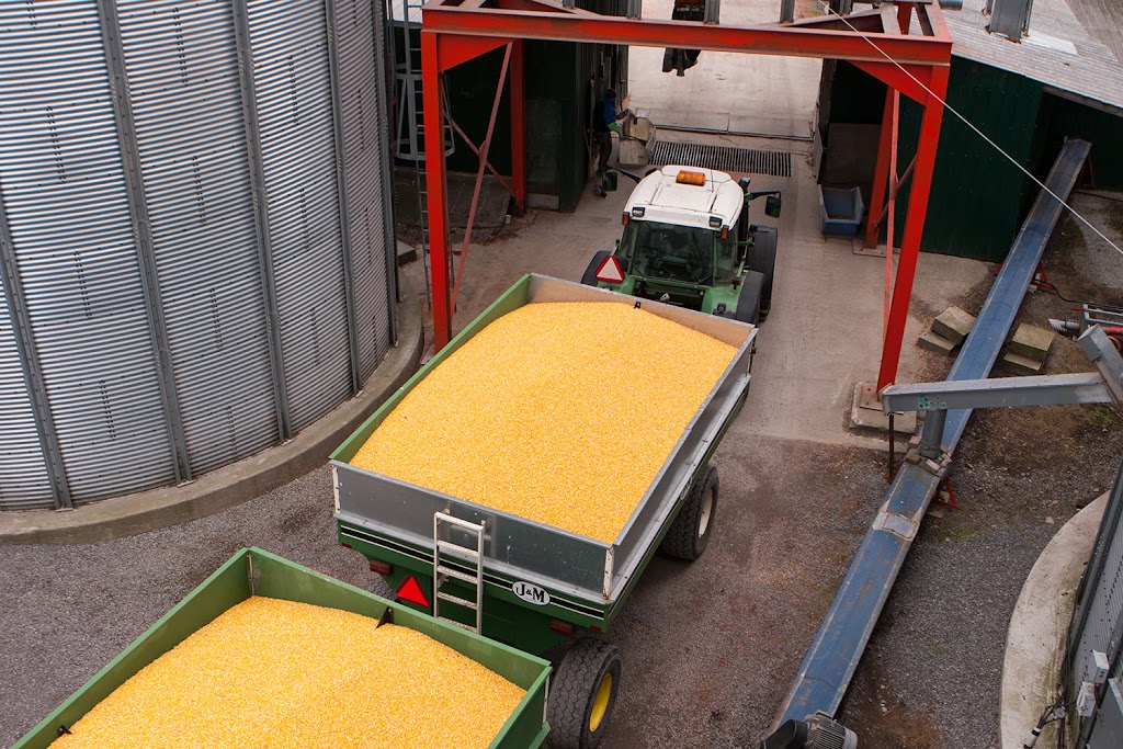 Wilmarvale Elevators Ltd | 7901 Mitch Owens Rd, Gloucester, ON K1G 3N4, Canada | Phone: (613) 822-1277