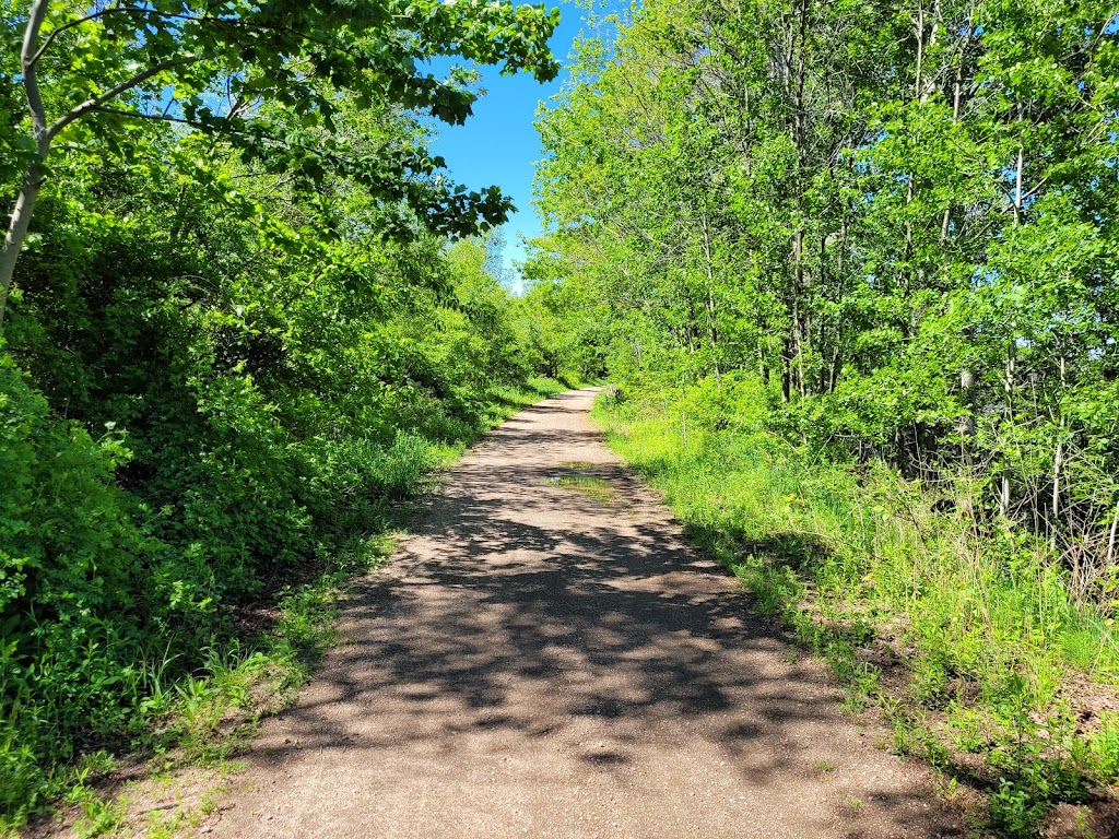 Rock & Stroll Dog Camp | 675 Marsh Rd, Round Hill, NS B0S 1A0, Canada | Phone: (902) 526-2921