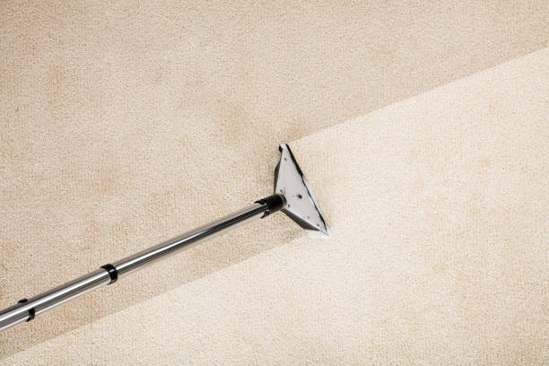 Traverse cleaning Limited | Coventry Way, St. Johns, NL A1E 6H2, Canada | Phone: (709) 770-4306