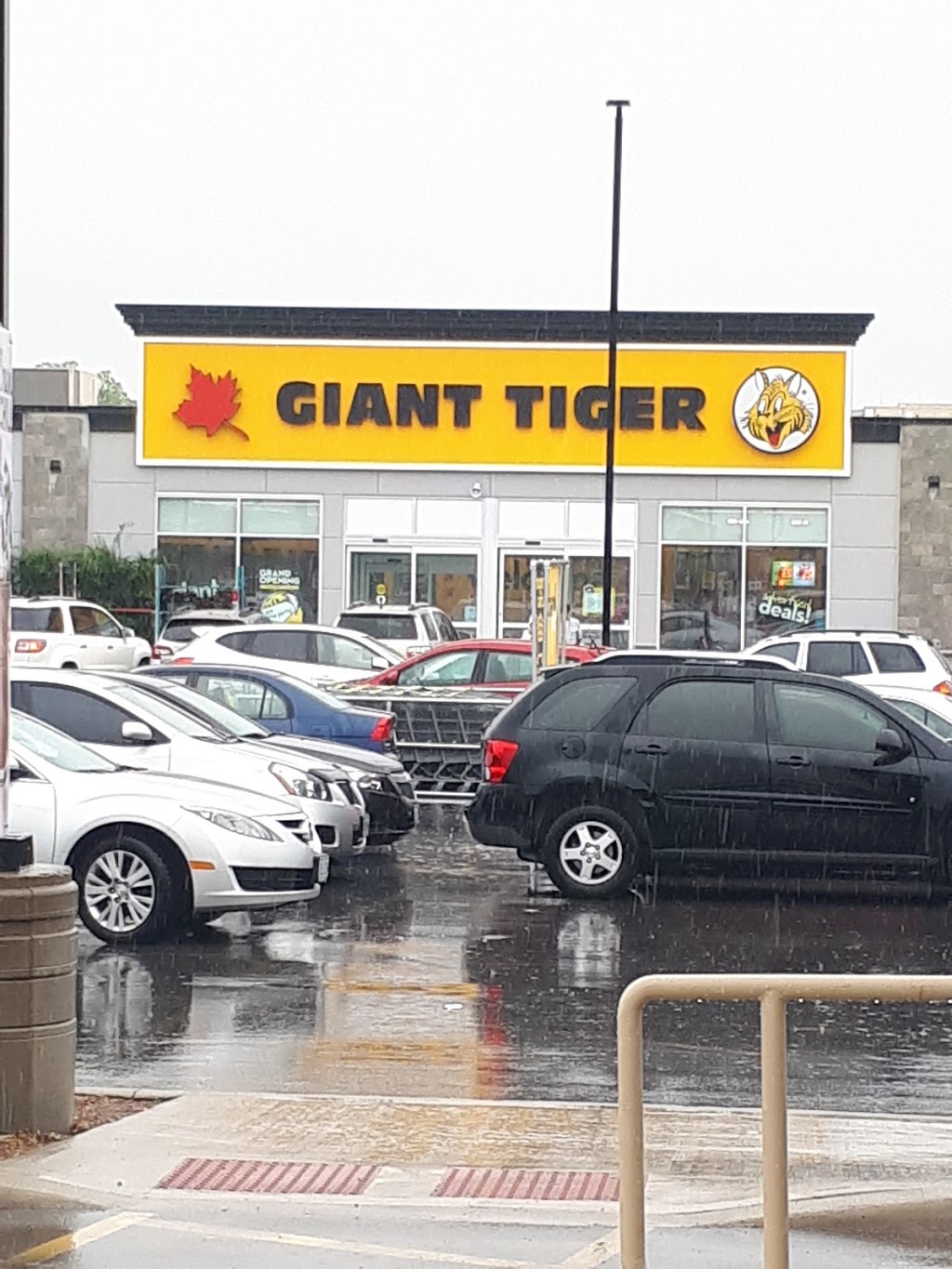 giant-tiger-1175-hyde-park-rd-london-on-n6h-5k6-canada