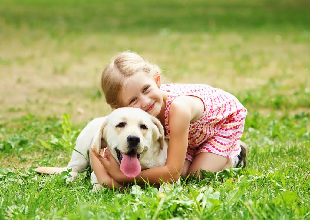 Unionville South Pet Hospital | 4721 Hwy 7, Unionville, ON L3R 1M7, Canada | Phone: (905) 604-5604