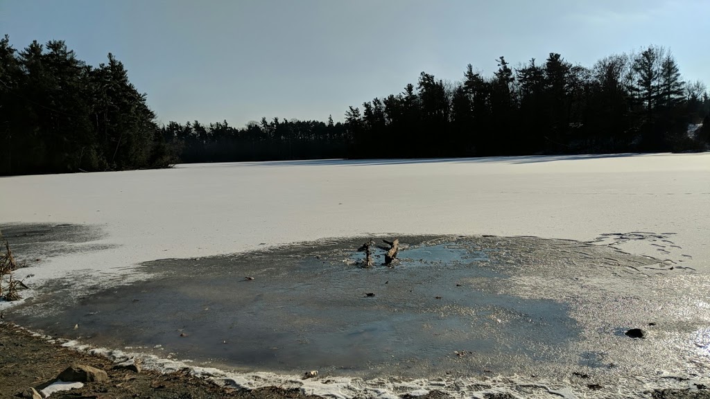 Mitchell Pond Park | 12820 Estate Garden Dr, Richmond Hill, ON L4E 4H1, Canada