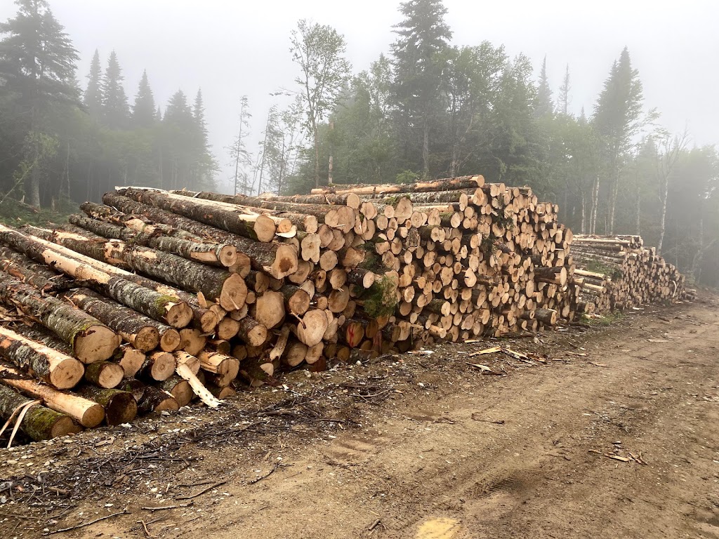 Services Forestier WAS | 112 QC-257, La Patrie, QC J0B 1Y0, Canada | Phone: (819) 888-2790