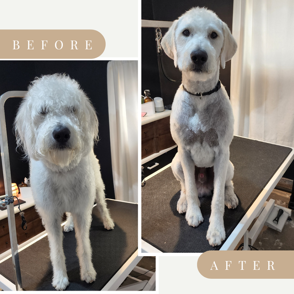 Pawsh Mountain Pet Spa | 210 2A Ave, Cowley, AB T0K 0P0, Canada | Phone: (778) 745-0154