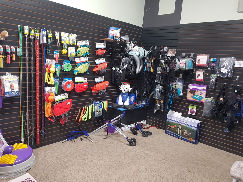 Dog Paddle K9 Aquatics | 3280 Hwy 7, Pickering, ON L1Y 1C8, Canada | Phone: (905) 655-5577