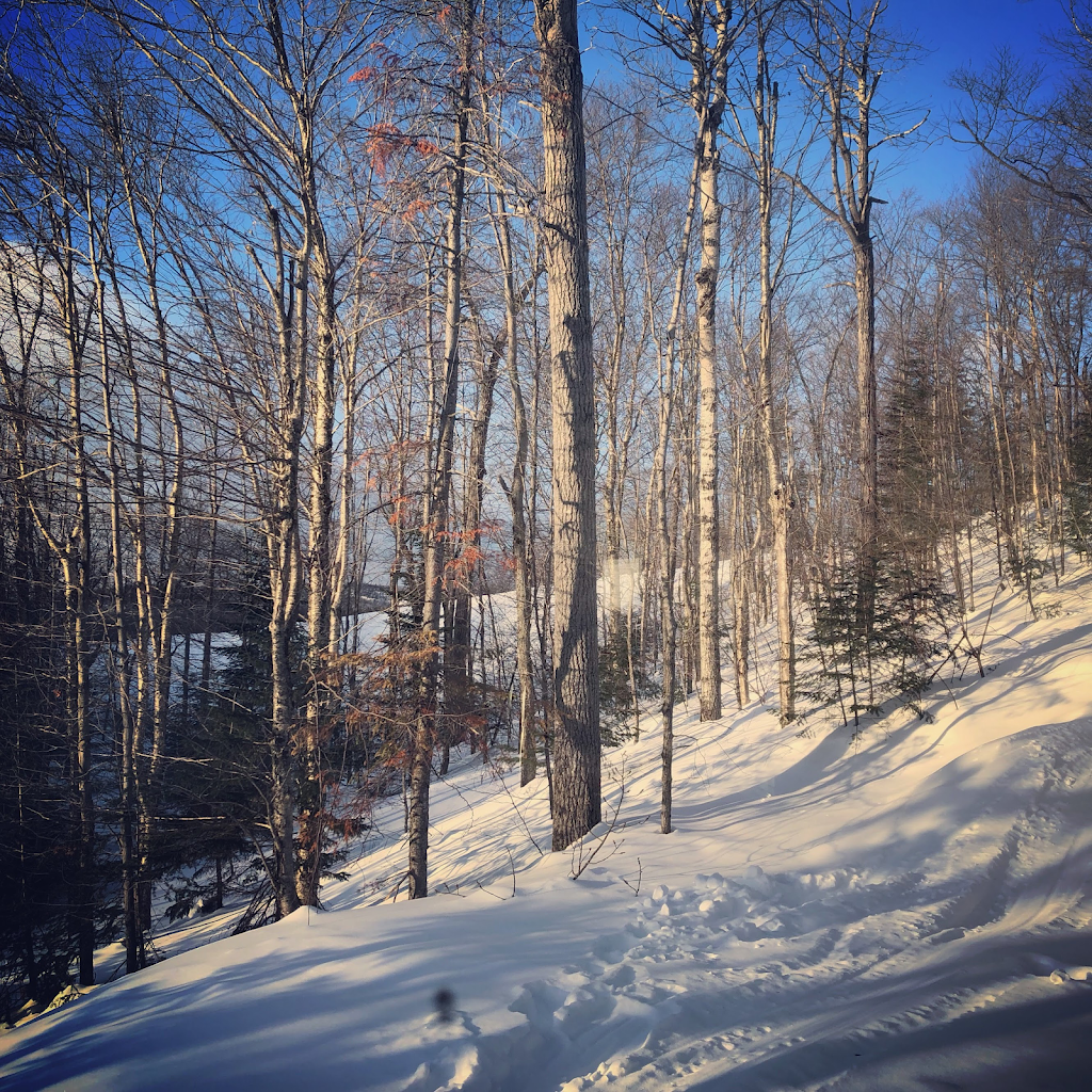 Chalet le Migrateur 132 | Entrelacs, QC J0T 2E0, Canada | Phone: (438) 888-8000