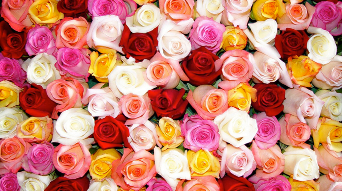 Thoughtful Gifts & Flowers | 241 Hanlan Rd #4, Woodbridge, ON L4L 3R7, Canada | Phone: (905) 266-2214