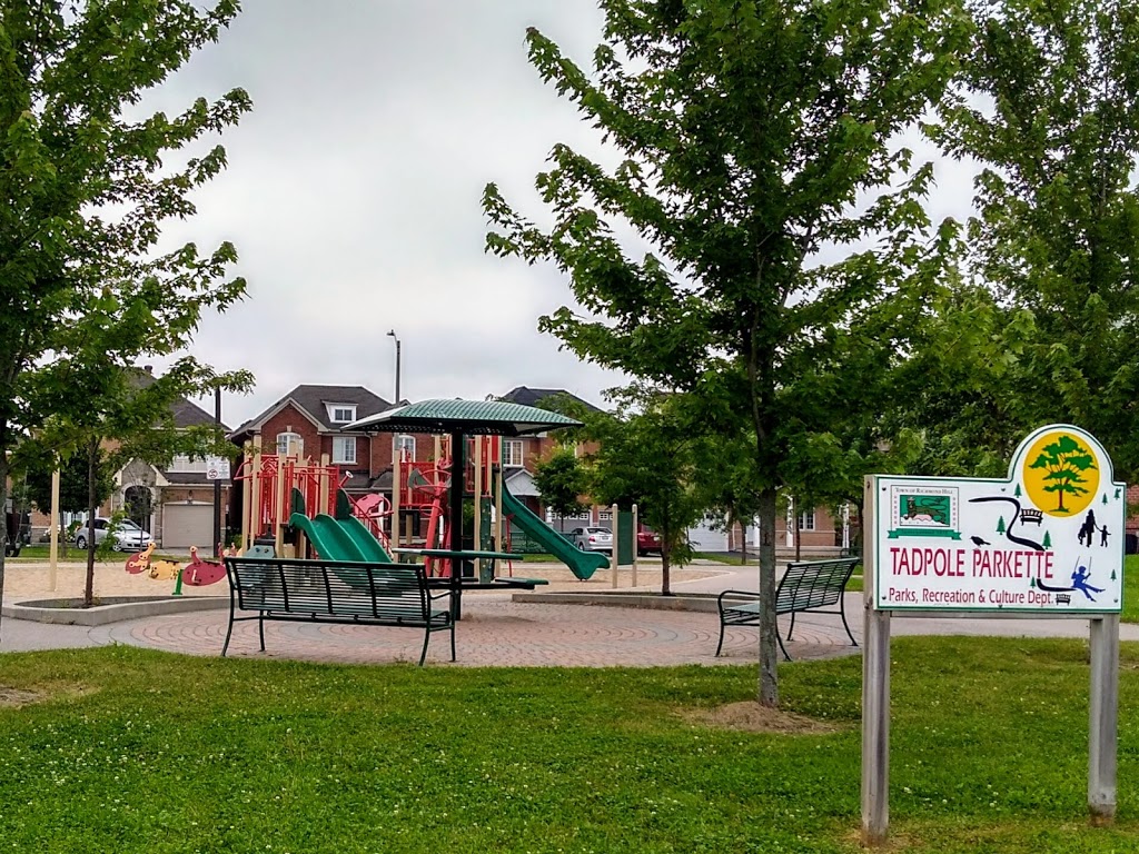 Tadpole Parkette | Wheatsheaf St, Richmond Hill, ON L4E 5B5, Canada